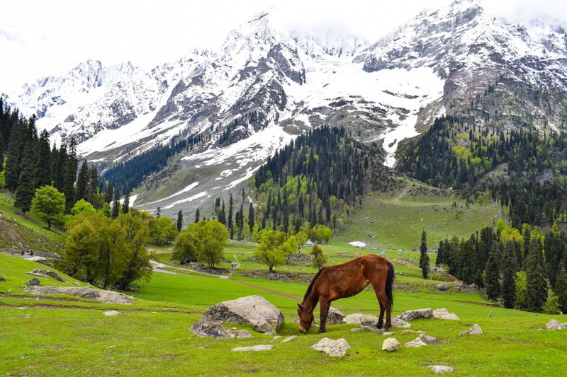 Upper Mustang Restricted Area Trek